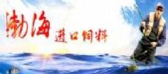 天津渤海海洋進出口有限公司與我公司簽訂網(wǎng)站建設條款