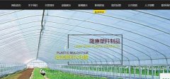 遷安市隆*農膜有限公司網站建設有創(chuàng)意的主題設計