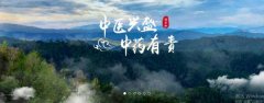 普洱淞*醫(yī)藥集團有限公司網(wǎng)站建設(shè)新一代自助建站、智能建站系統(tǒng)