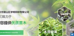 重慶市璧山區(qū)學*園林有限公司網(wǎng)站建設基本流程